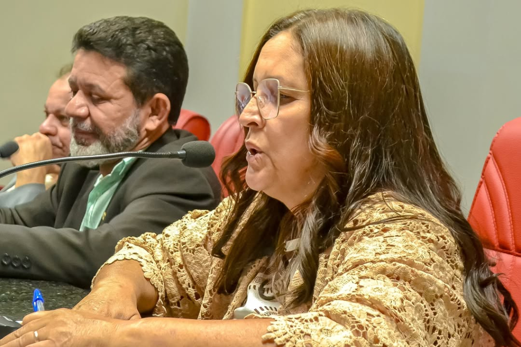 Vereadores destacam ações na saúde e educação durante sessão não deliberativa