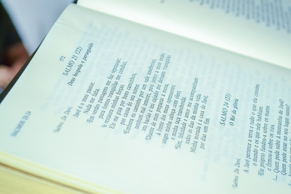 Câmara de Ipubi aprova requerimentos para melhorias em Serrolândia e destaca ações nas áreas de saúde e infraestrutura